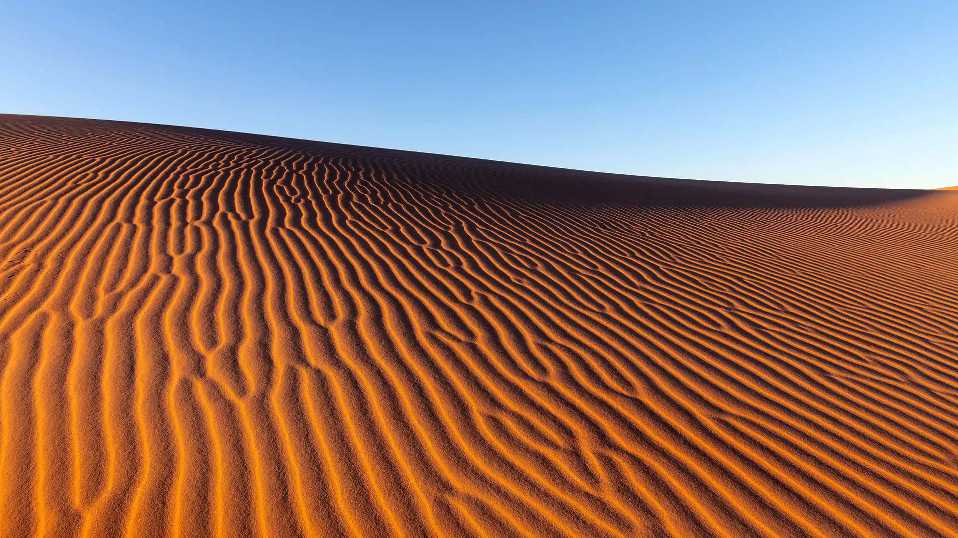 Desert sand dunes